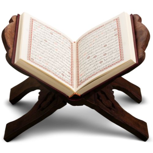 image1